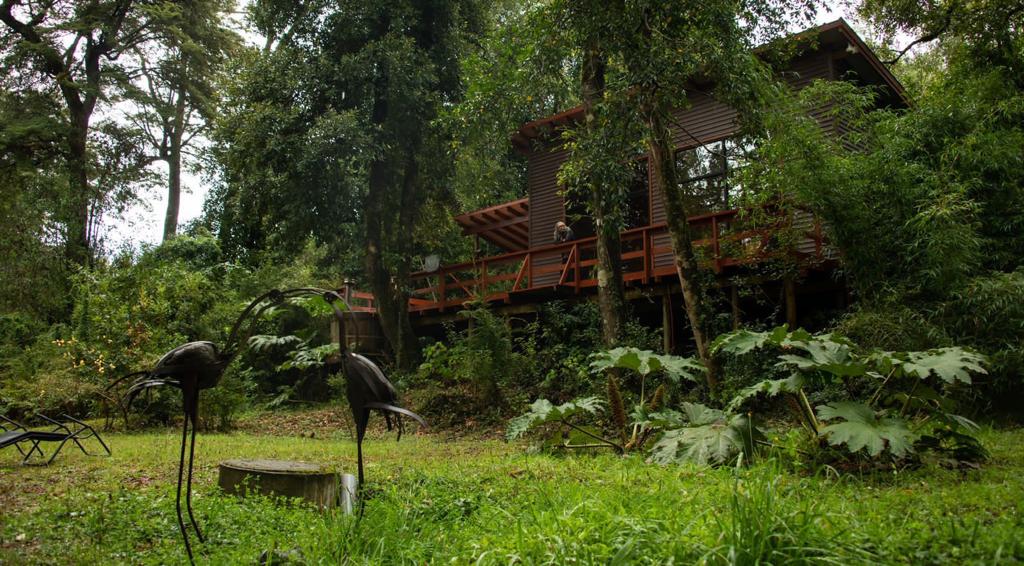 imagen1